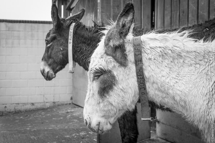 DevonDSC0004020180211-1