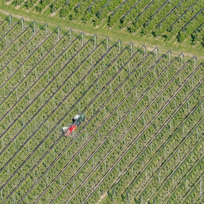 KonstanzDSC0208220170424-1-2