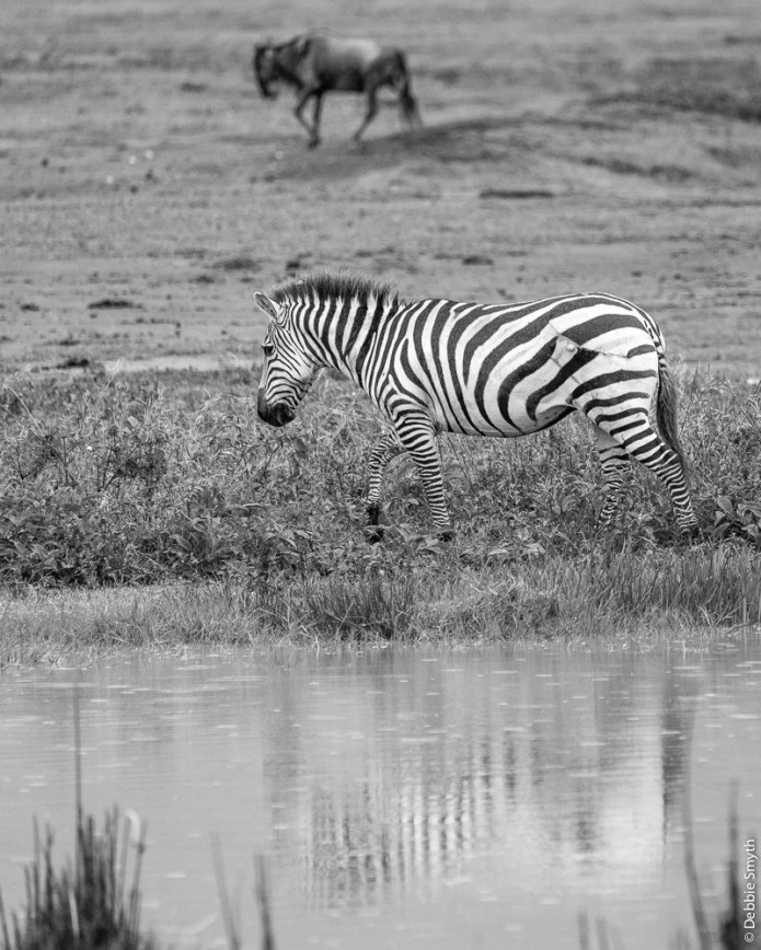 TanzaniaA730018520170126-1-3