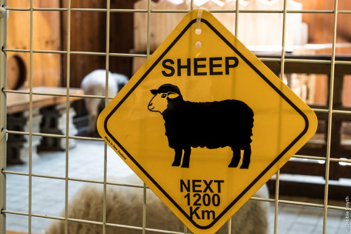 SeoulA9A0433720180211-1