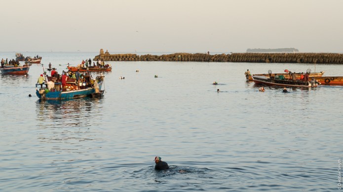 ZanzibarA730102020170130-1