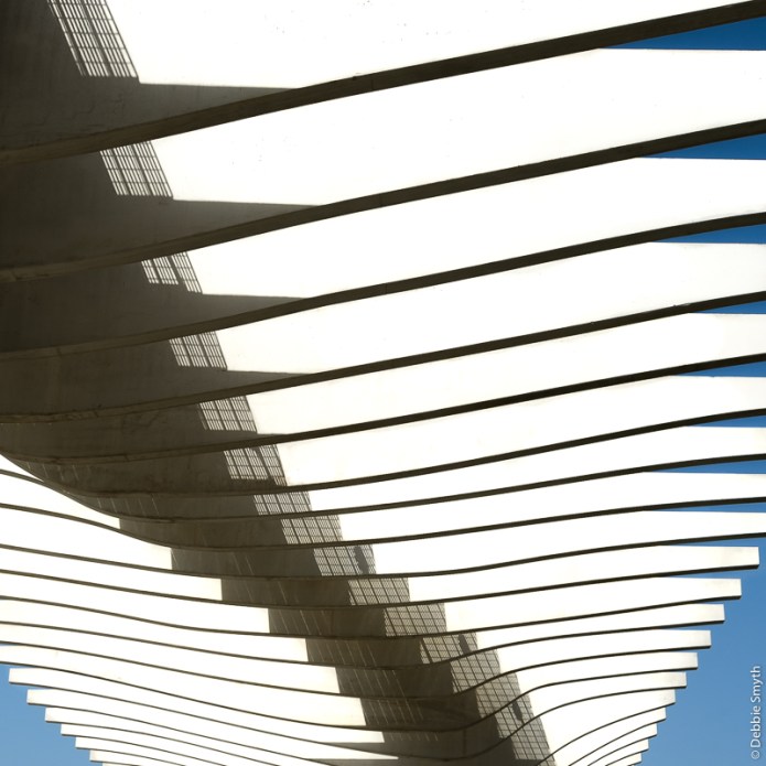 20160524_Malaga_03805143-1-5