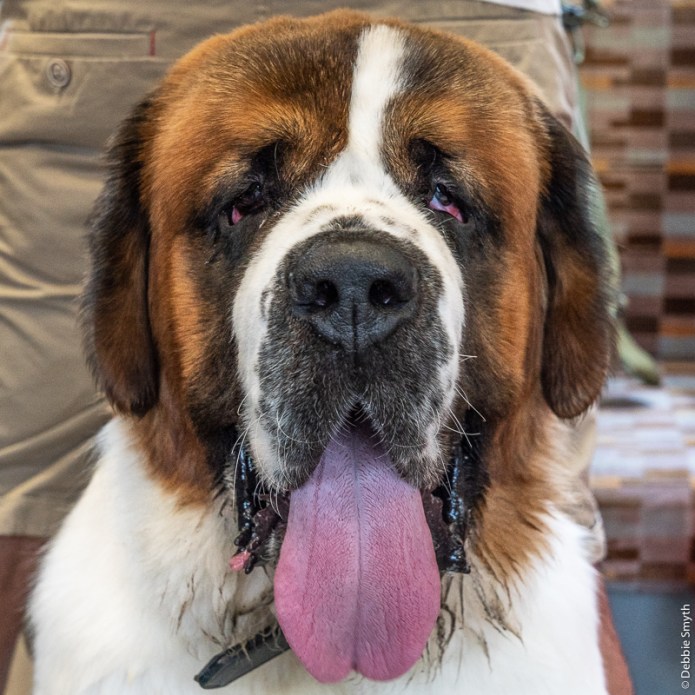 LondonA730727820180211-1-3