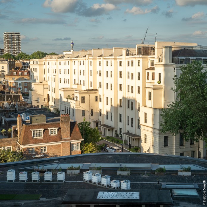 LondonA730728620180211-1-2