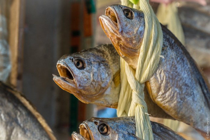 SeoulA9A0369520180211-1-4