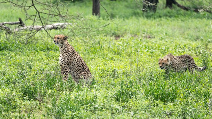 TanzaniaA730086120170127-1