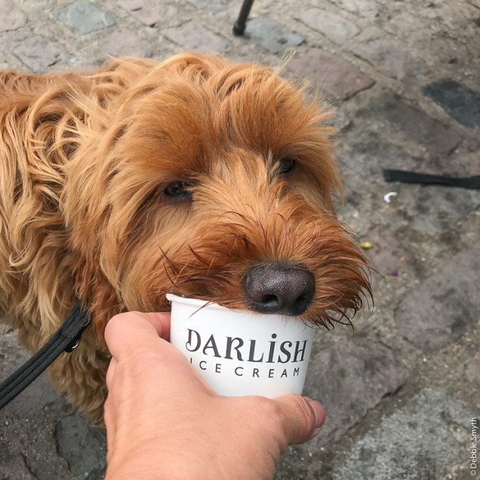 CooperIMG_914220180211-1