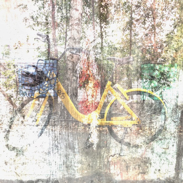 LondonIMG_3787-120180211-1