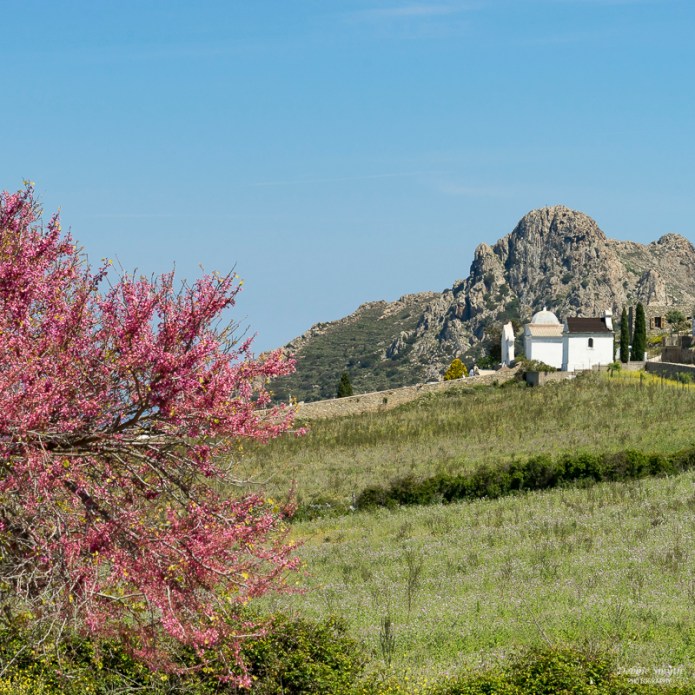 20160504_Corsica_11503451-1-2