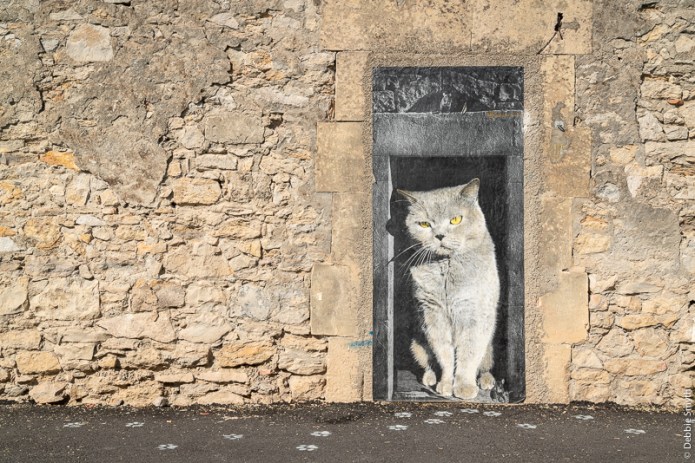 ArlesA730949020180211-1