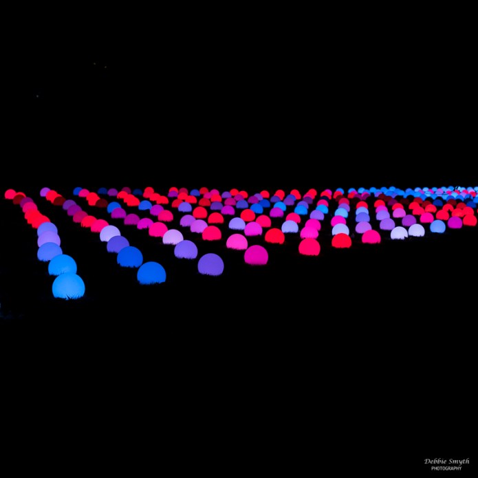 LondonDSC0865820171220-1-3