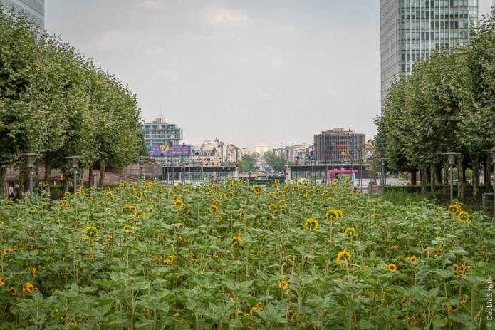 ParisA730904320180211-1