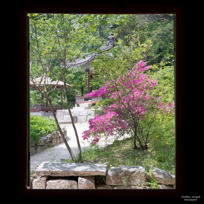 SeoulA9A0461520180211-1-3