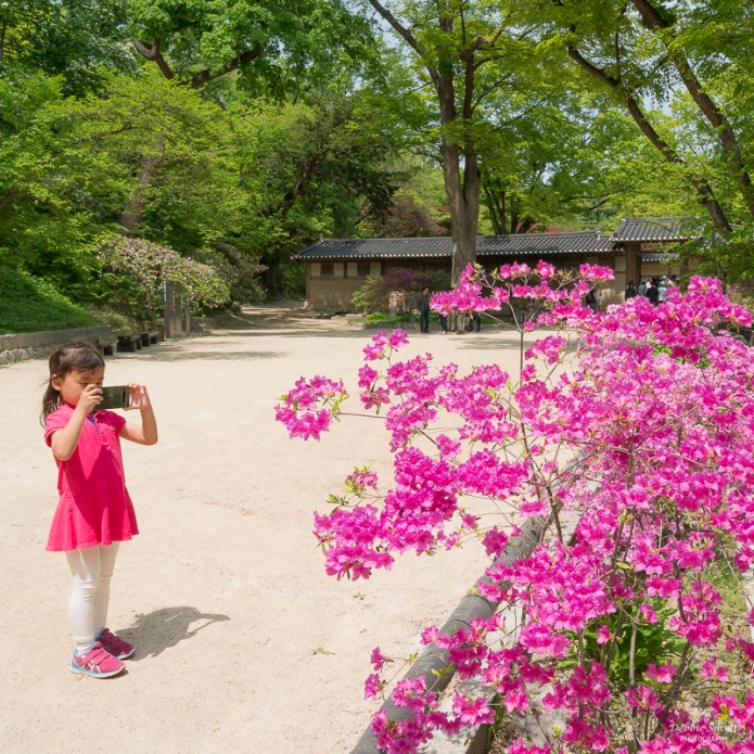 SeoulA9A0466020180211-1