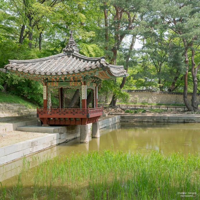 SeoulA9A0466320180211-1