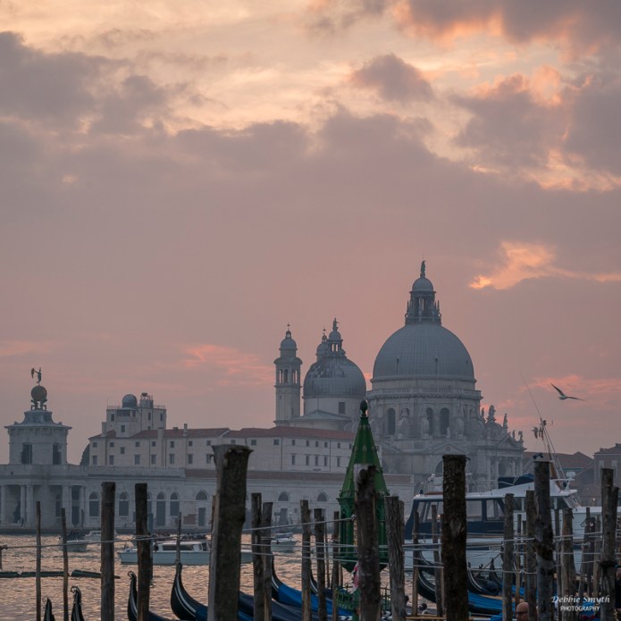 untitledDSC0764320171123-1-5