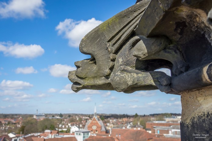 20160325_StAlbans_15801603-1-2