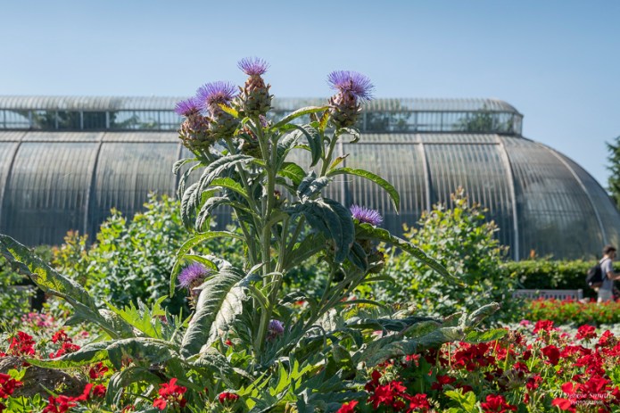 LondonA730119020180211-1