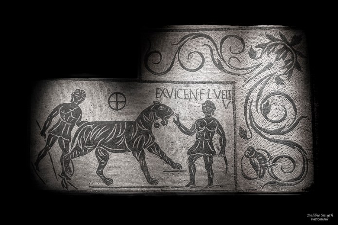 NimesA9A0835020180211-1