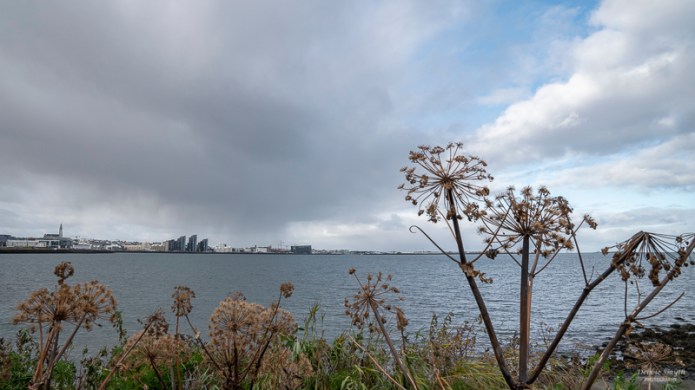 ReykjavikA9A0094620180211-1