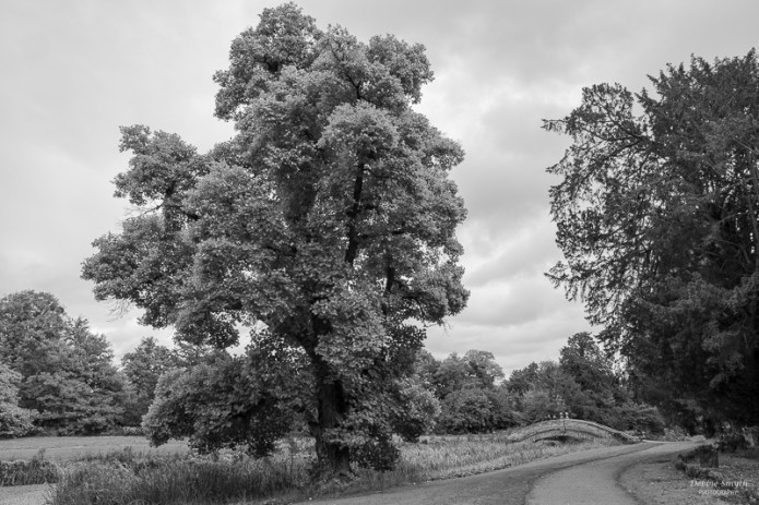 SilsoeA730089220180211-1