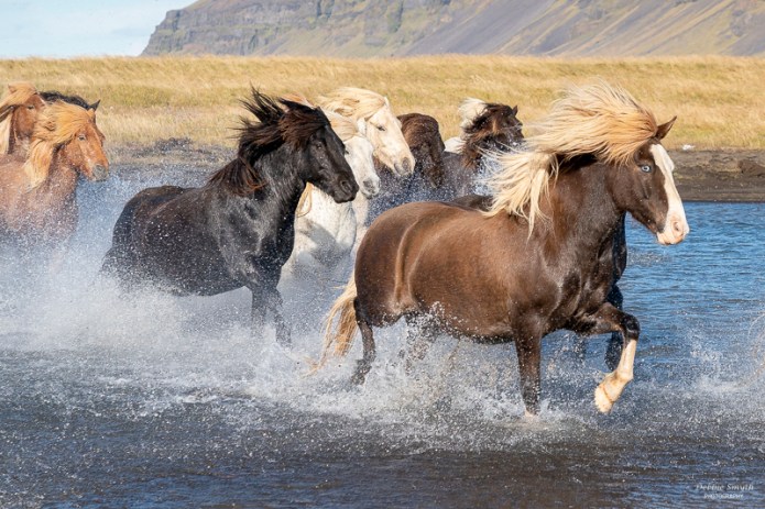 SouthIcelandA730936920180211-1-2