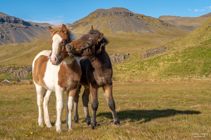 SouthIcelandA730961820180211-1