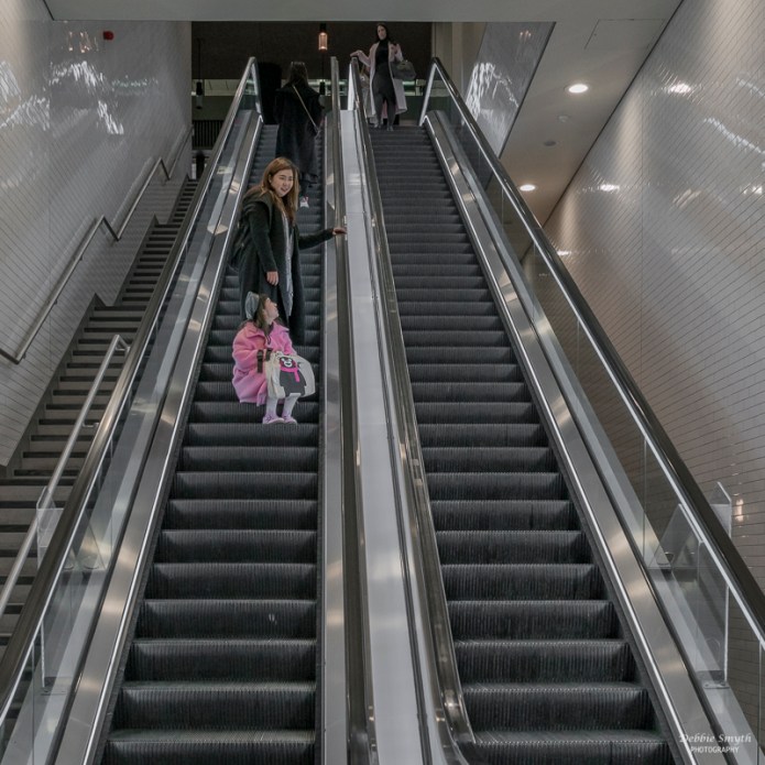 untitledDSC0727020171116-1-5