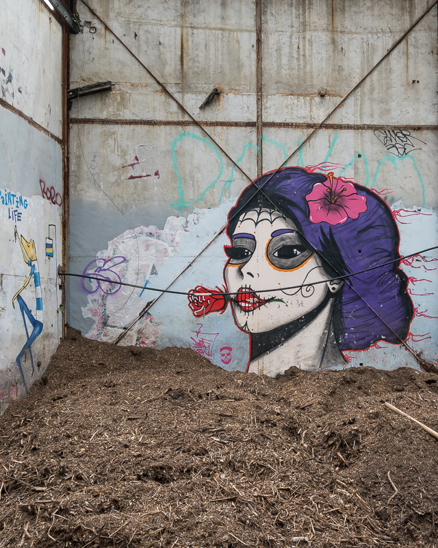 BordeauxDSC0369820170527-1