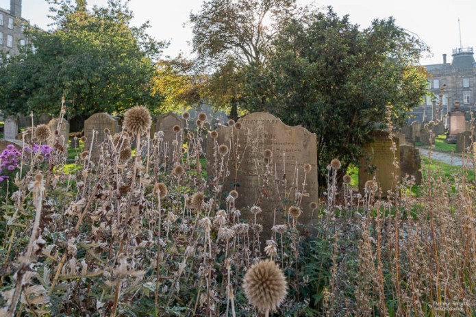 DundeeA730106220180211-1