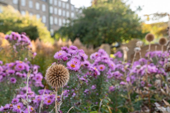 DundeeA730106520180211-1