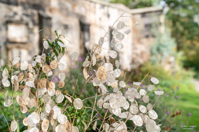 EdinburghA730091520180211-1