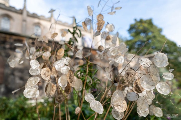 EdinburghA730091820180211-1