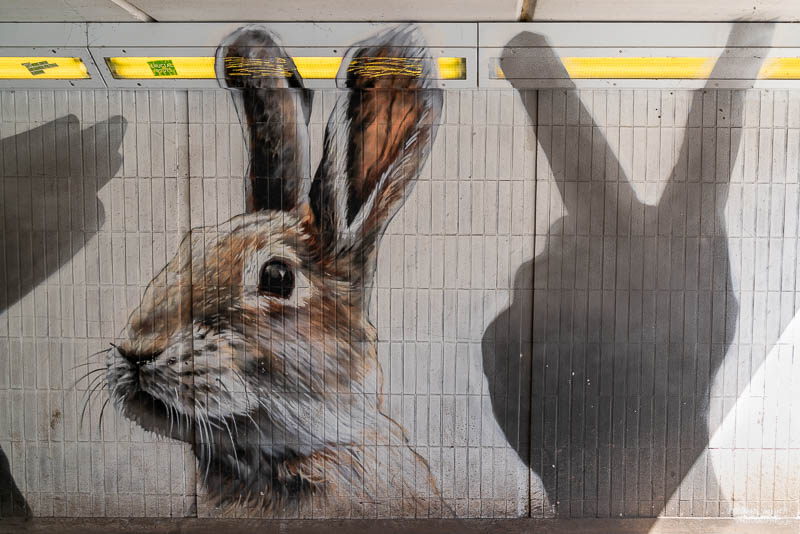 GlasgowA730856520180211-1