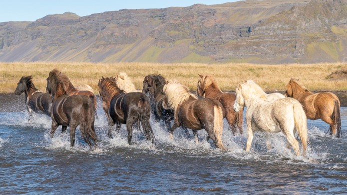 SouthIcelandA730002520180211-1