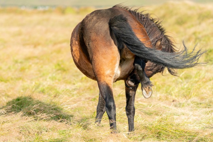 SouthIcelandA9A0935920180211-1