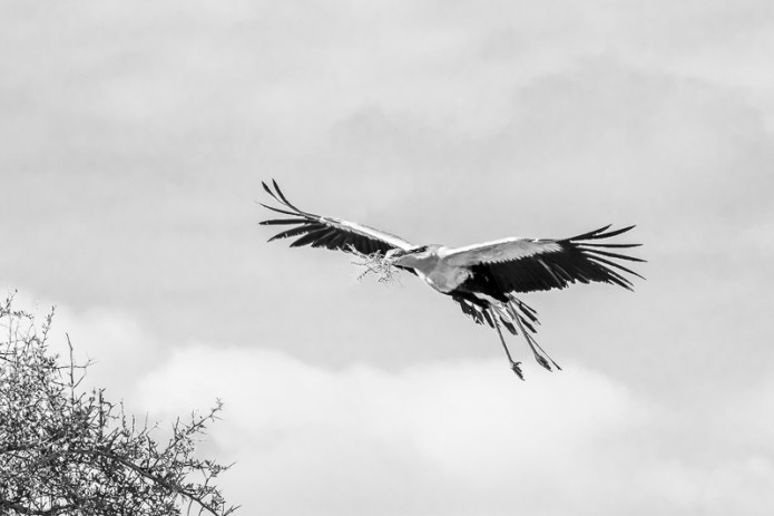 TanzaniaA9A0189820180128-1-4