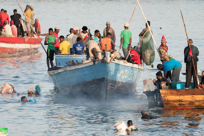 ZanzibarA9A0243520180130-1-2