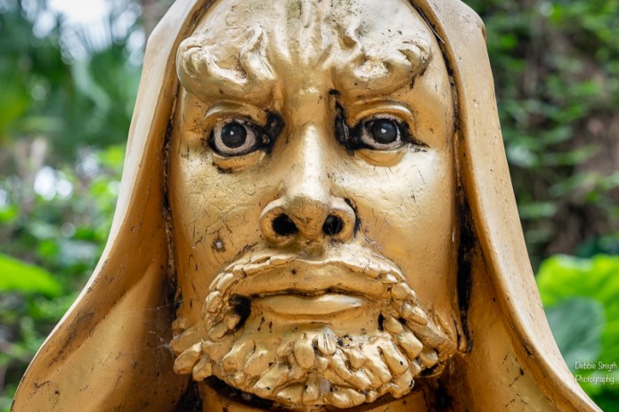 HongKongA9A0279520180211-1-2