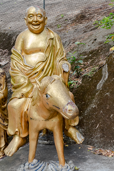 HongKongA9A0282520180211-1