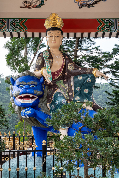 HongKongA9A0283920180211-1