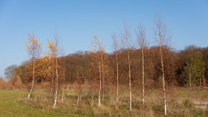 LondonA730223820180211-1