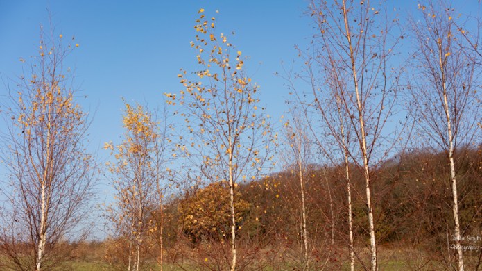 LondonA730223920180211-1-2