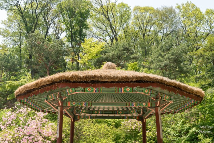 SeoulA9A0461620180211-1