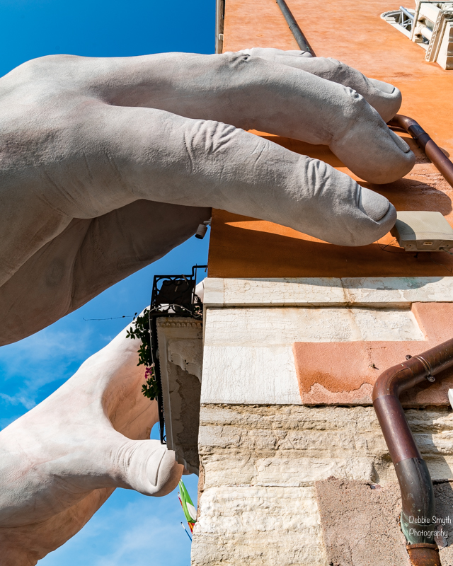 untitledDSC0779820171124-1