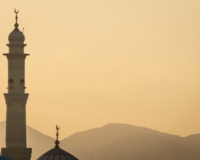 MuscatA730448520180211-1