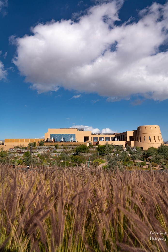 OmanA730377020180211-1 pink-2