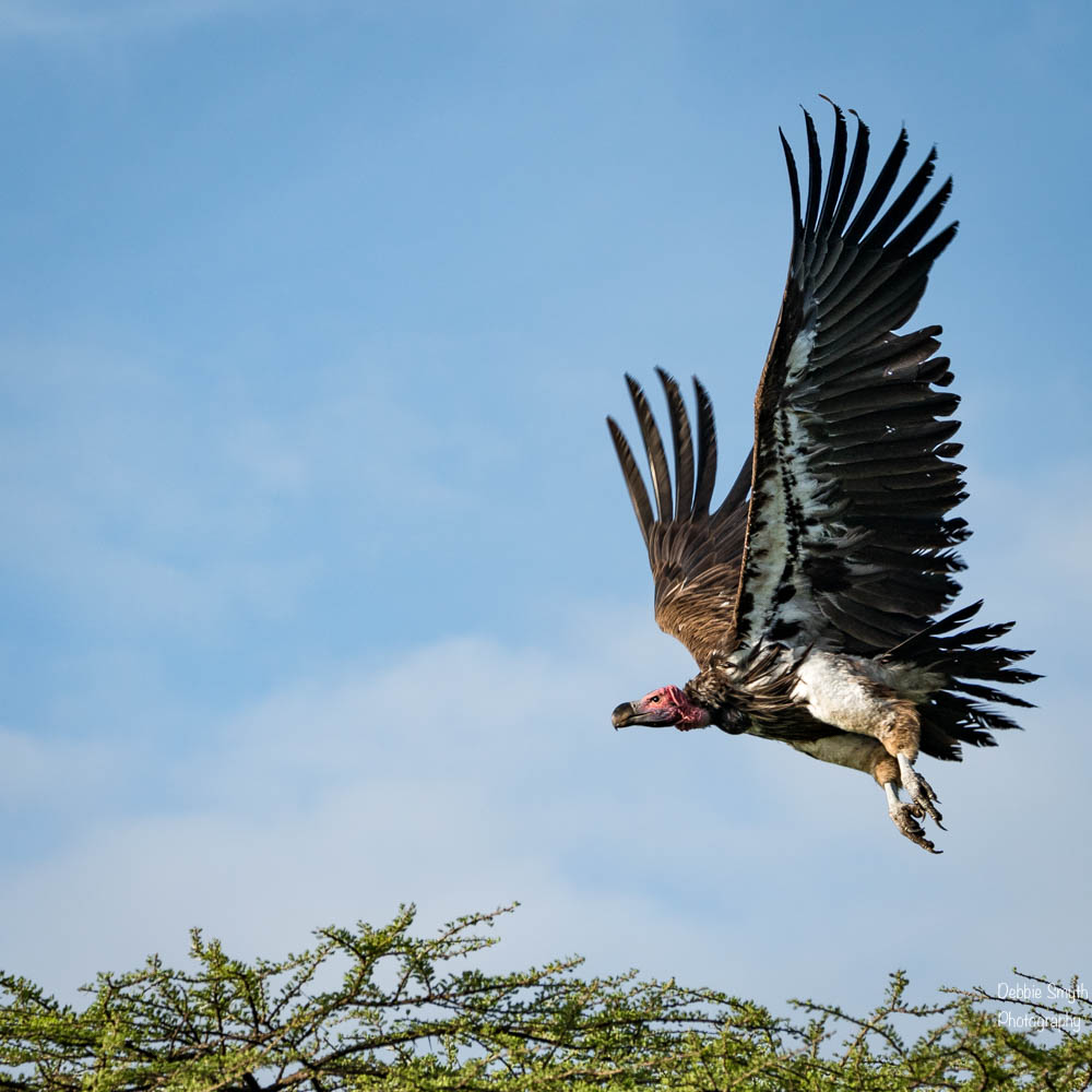 TanzaniaA9A0174820180128-1-3