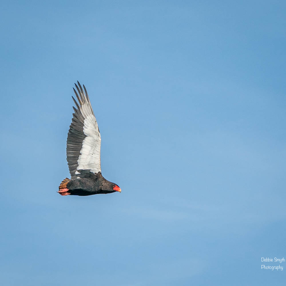 TanzaniaA9A0180120180128-1-7