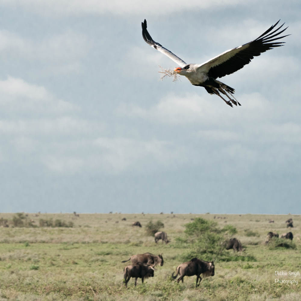 TanzaniaA9A0188920180128-1-2